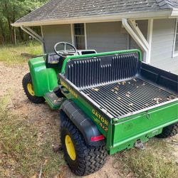 Gator 