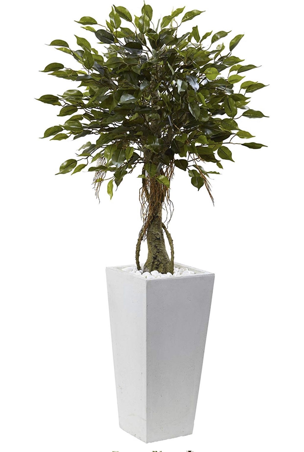 Nearly natural faux plant (Fiscus Tree)