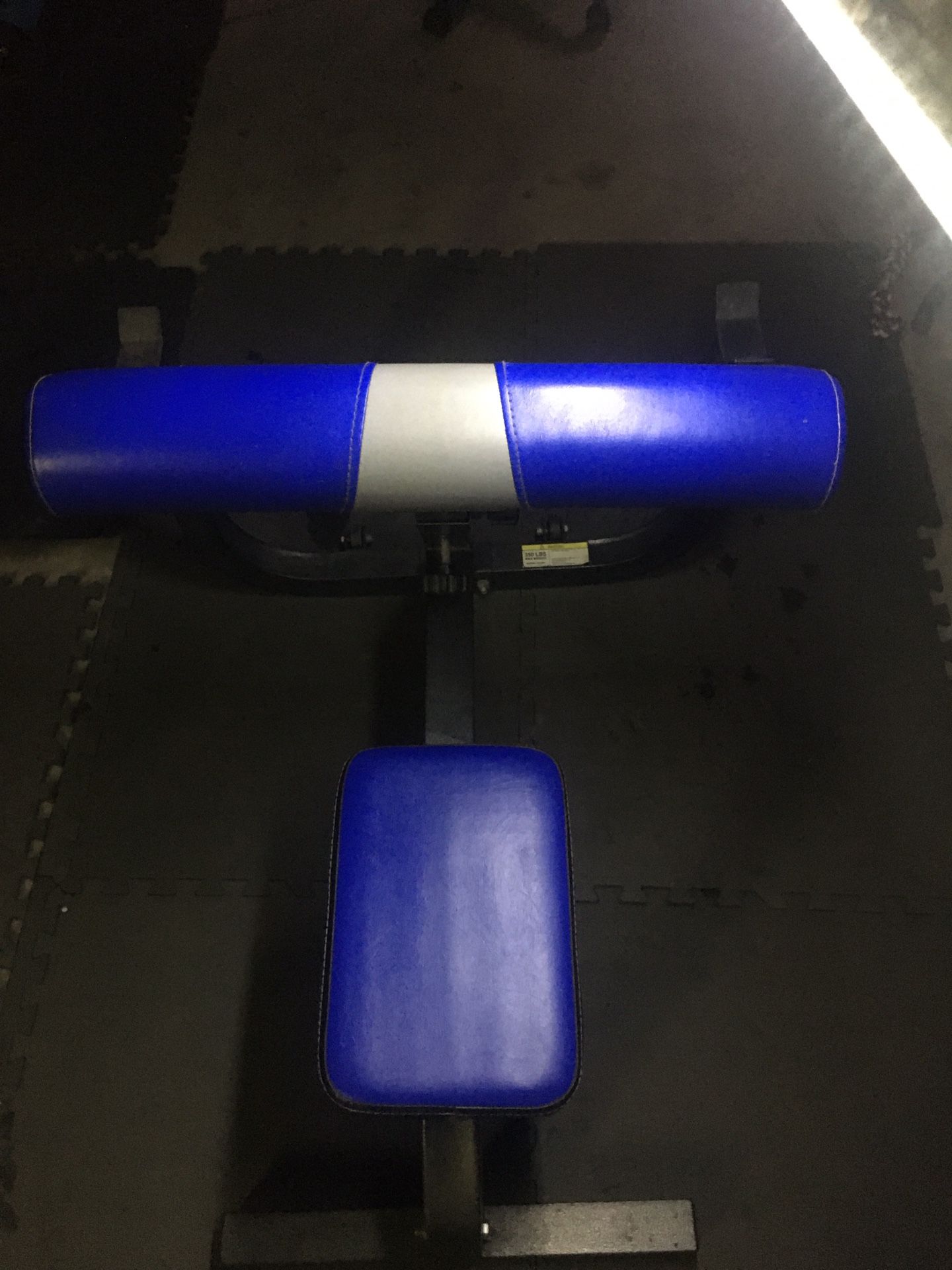 Preacher Curl Bench + Curl Bar + Weights