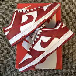 Nike dunks men’s size 10