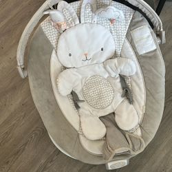 Baby Bouncer