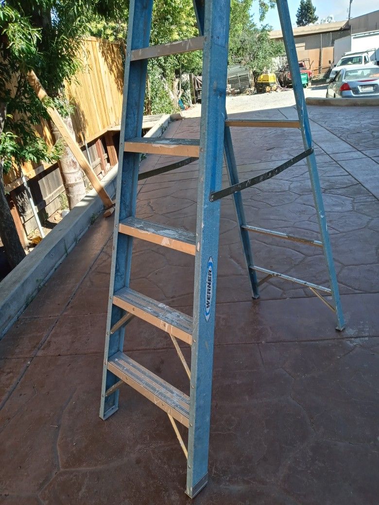 7 Ft Werner Ladder