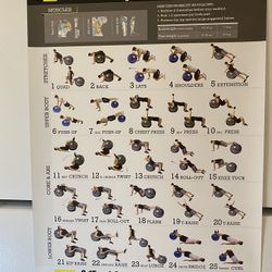 Poster STABILITY-BALL Workout Exercise for Men 18"X24"