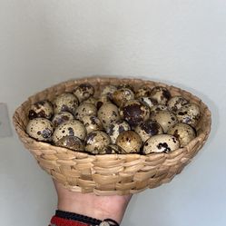Organic Quail Eggs