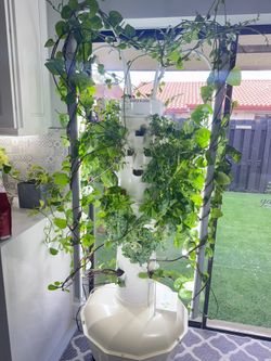 🌱 Tower Garden with LED Lights & Thriving Plants – $700 (Firm)