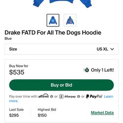 Drake concert hoodie