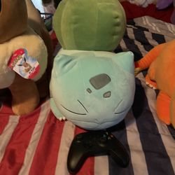 Pokémon Plushy