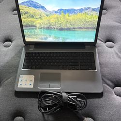 Dell 17 inch screen $130