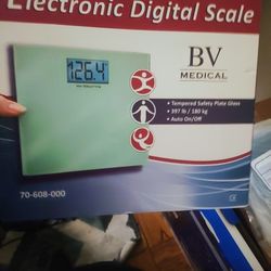 BV Digital Scale