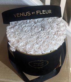 Venus Fluer
