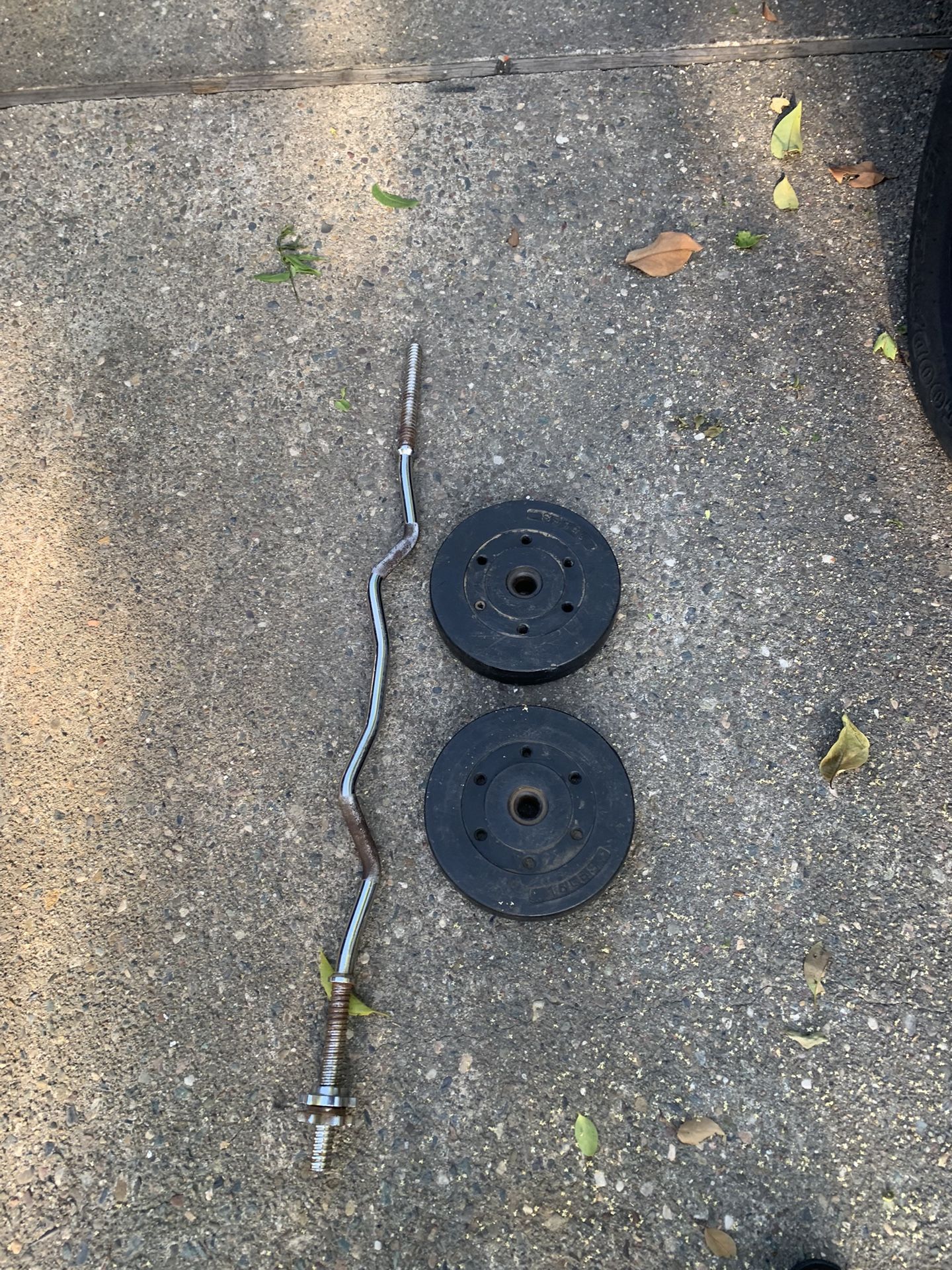 Curl Bar With 30lbs Of Weight