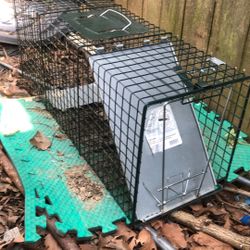 Safe Varmit Removal 