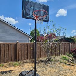 Basketball Hoop