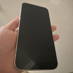 iPhone 13 Pro Max Unlocked 