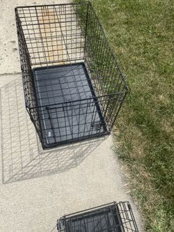 Dog Case