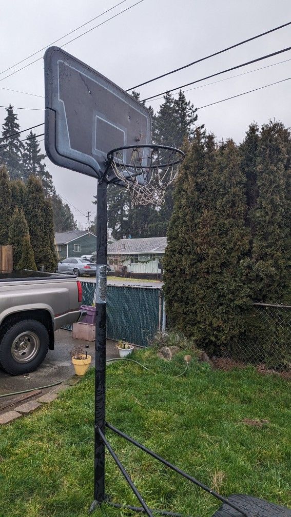 Portable Basketball Hoop 