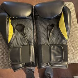 Everlast Boxing Gloves
