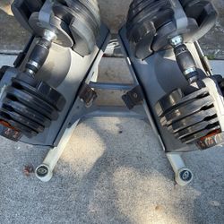 Nautilus Dumbbells Adjustable With Standing Rack 