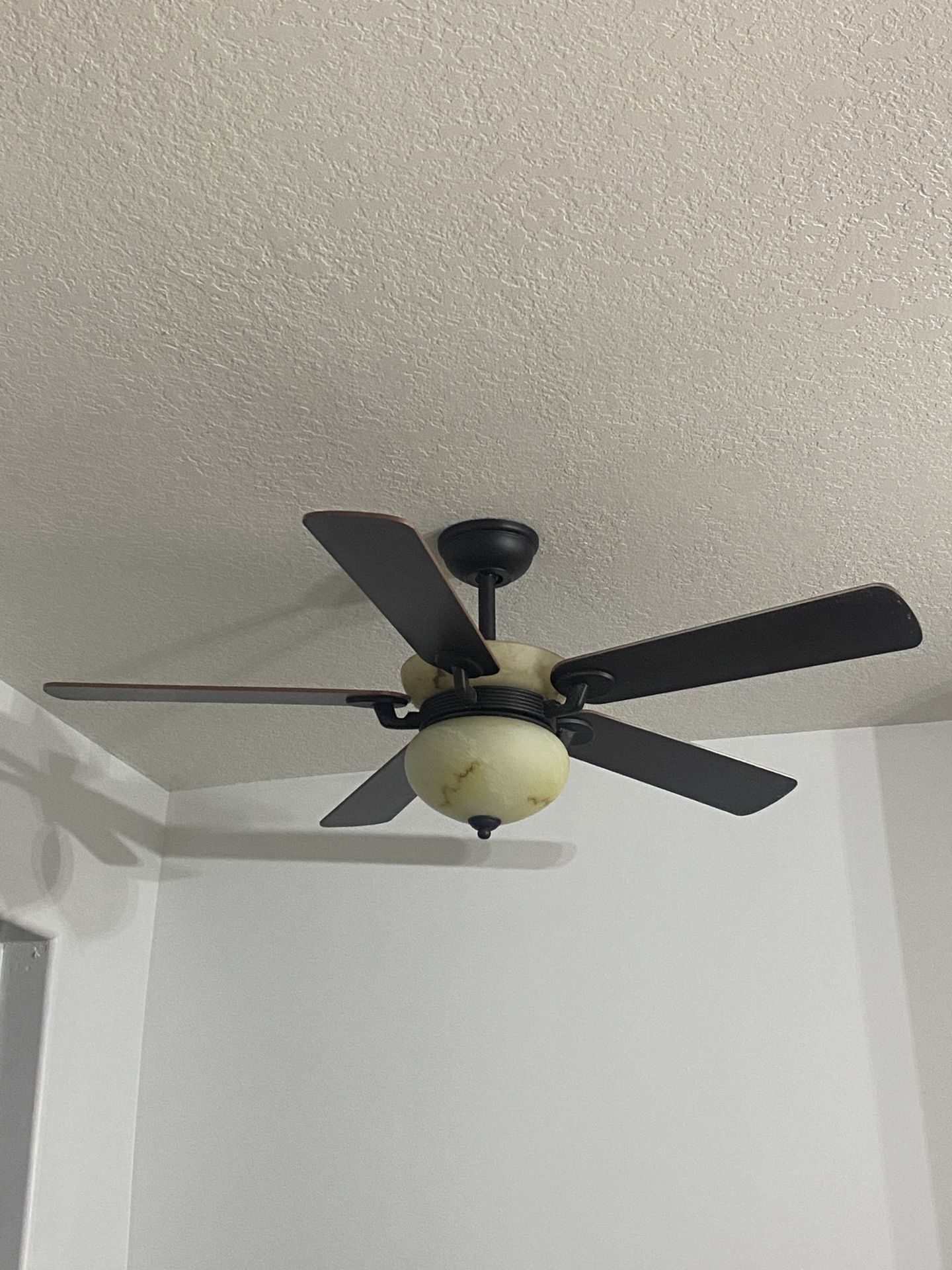 Ceiling Fans