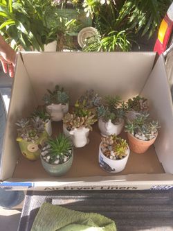 Regalos perfecto para mama