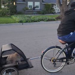 Beach Cruiser With Trailer