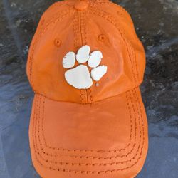 Clemson Tigers Bird House Feeder