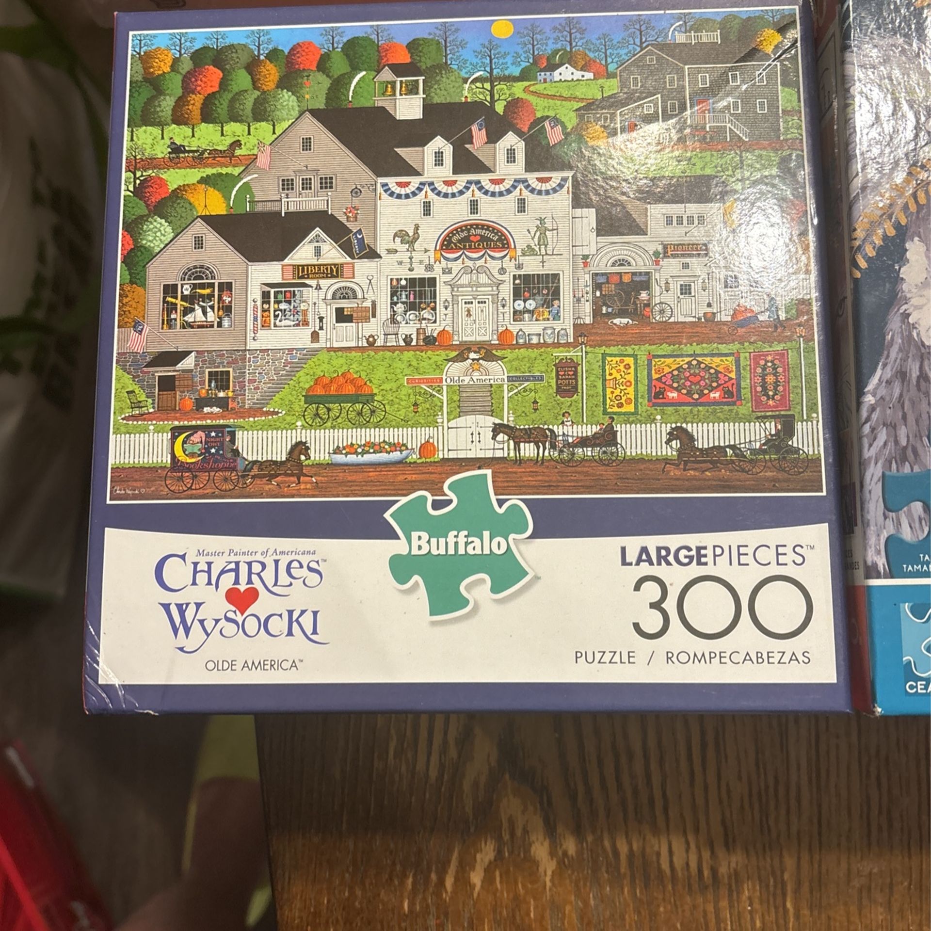 Assorted Puzzles