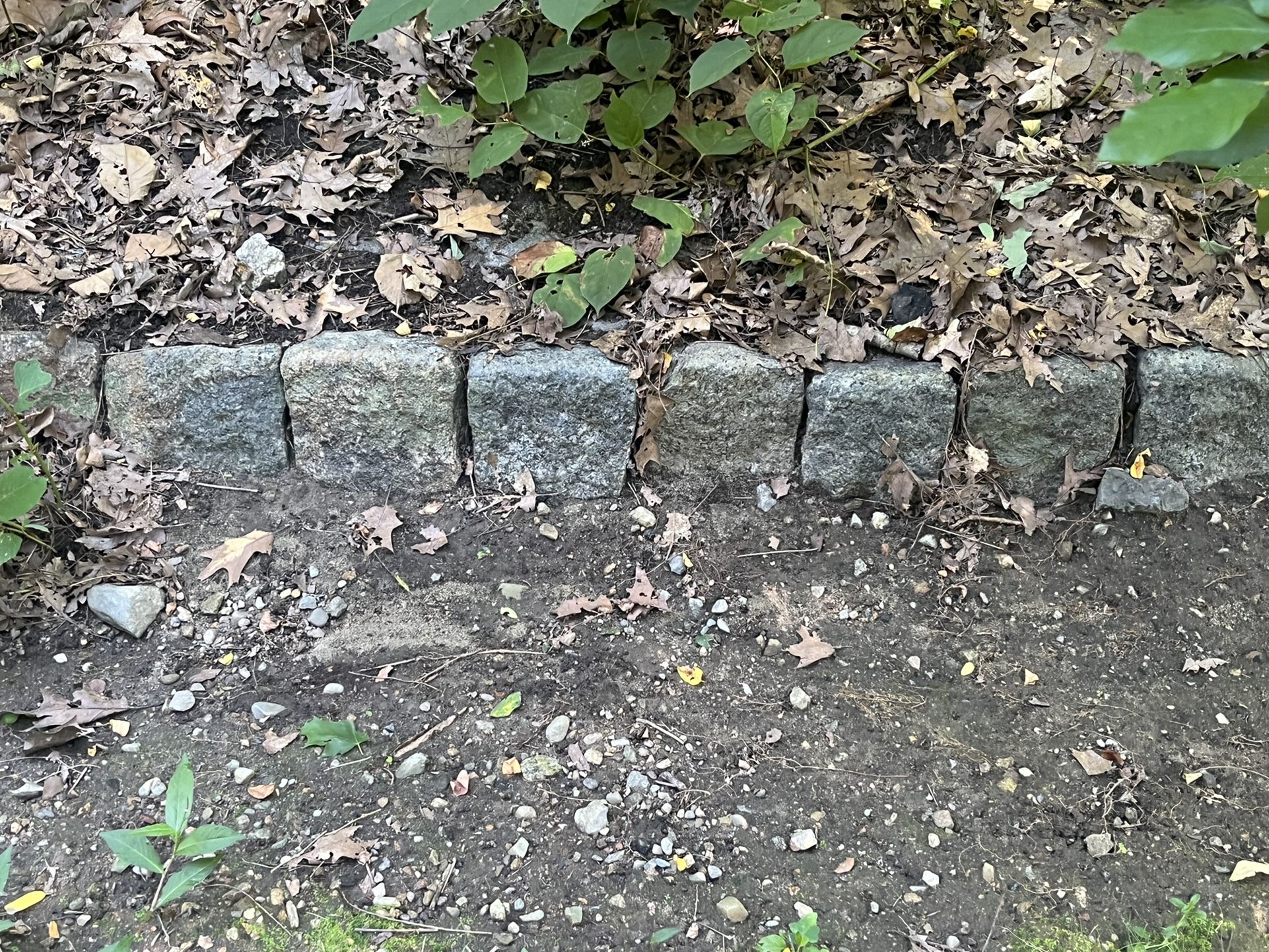 Cobble Stones