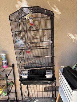 Like New Bird Cage With Food Dishes And Few Toys