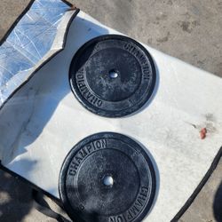 Champion Barbell Weights 25 Lbs 