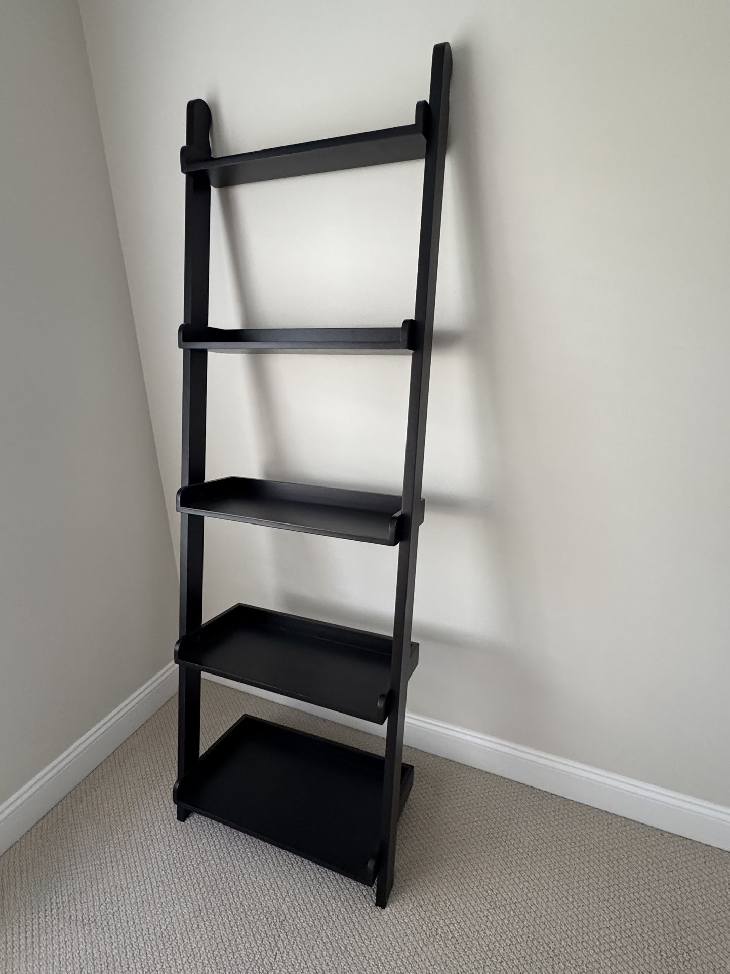 Pottery Barn Ladder Shelf