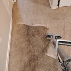 Carpet Cleaner 