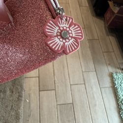 Coach Coin Purse