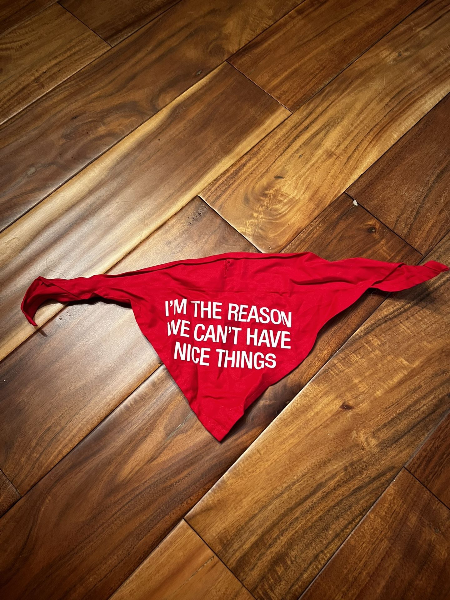 Pet dog I’m the reason we can’t have nice things bandana