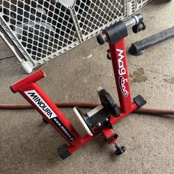 Bike Trainer - Convert Mountain, Road, or Beach Bicycles into a Stationary Exercise Bike for Indoor Riding All Year Round by Rad Cycle