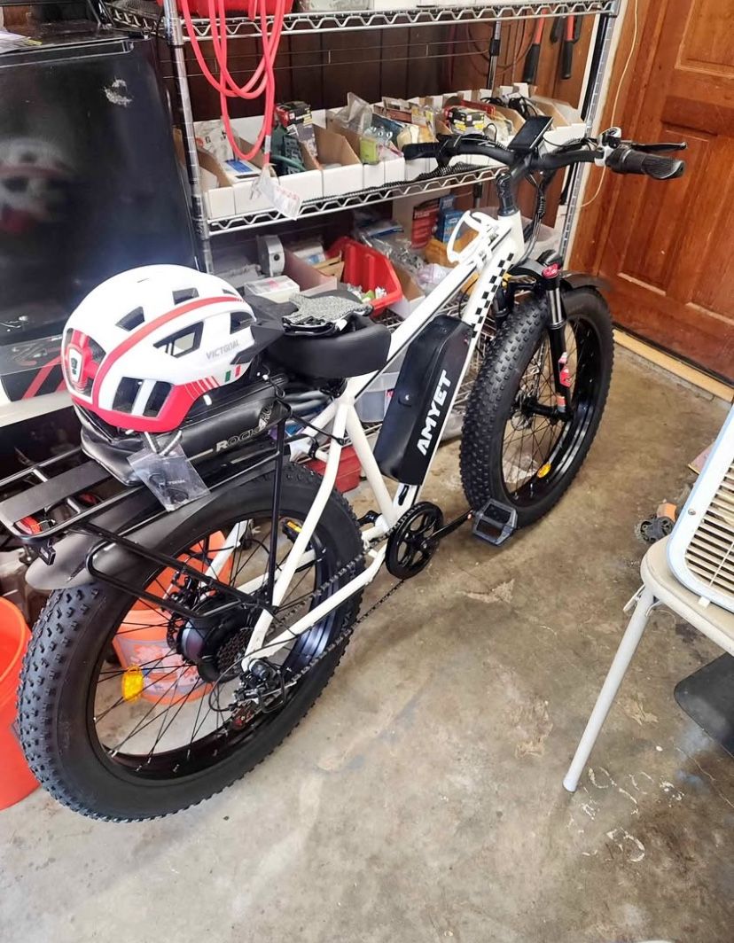 Electric Bike