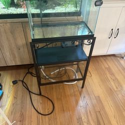 Double 10 Gallon Aquarium With Filtration And Mostly Everything You Need
