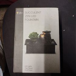 Succulent Zen LED Fountain