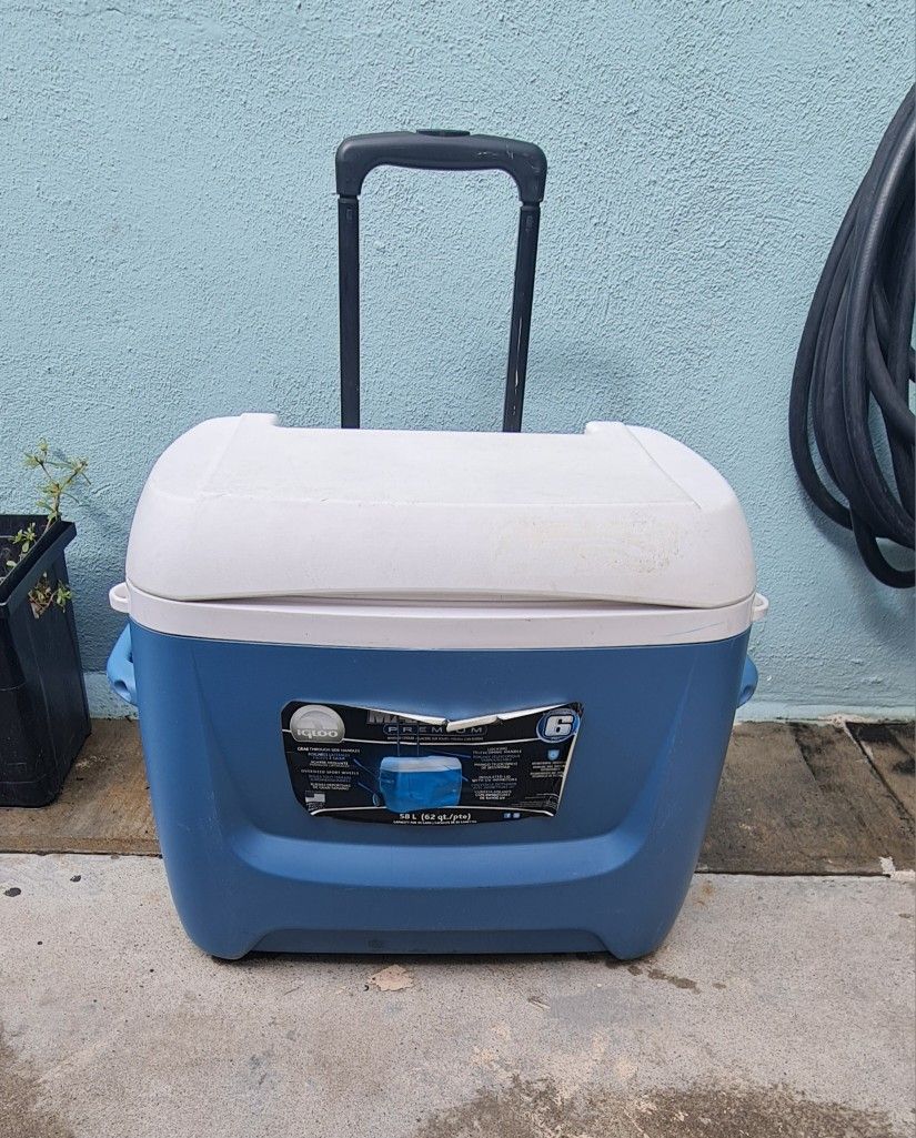 Cooler