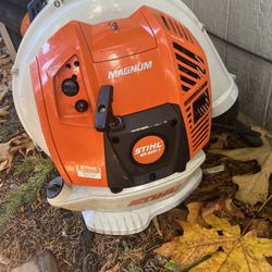 Stihl Br800