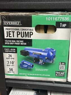 Professional Convertible Jet Pump 