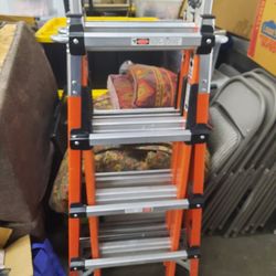 Gorilla Ladder