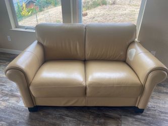 Love seat couch