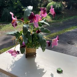 Flower Arrangement 