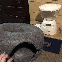 Cat Feeder Automatic And Bed And Toy Kitten Bowl House  Catasaurus 