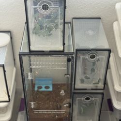 Gecko Terrariums And Accessories 