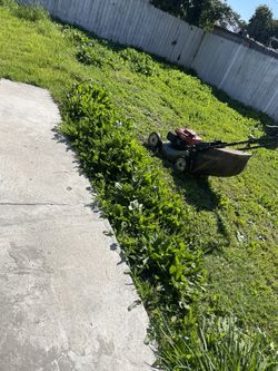 Jardinero 