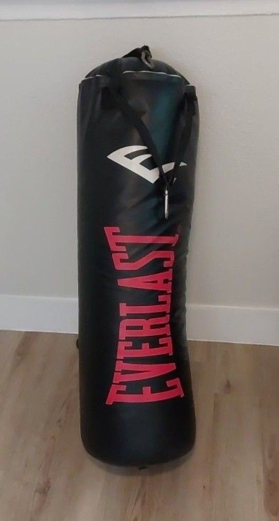 Everlast Punching Bag 80 Lb Heavy Bag