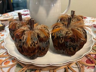 Nature Pumpkin 🎃 Feathered