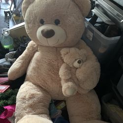 Big Teddy Bear